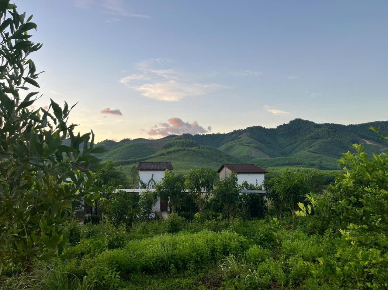 Nguyen Shack Retreat Resort Phong Nha Luaran gambar